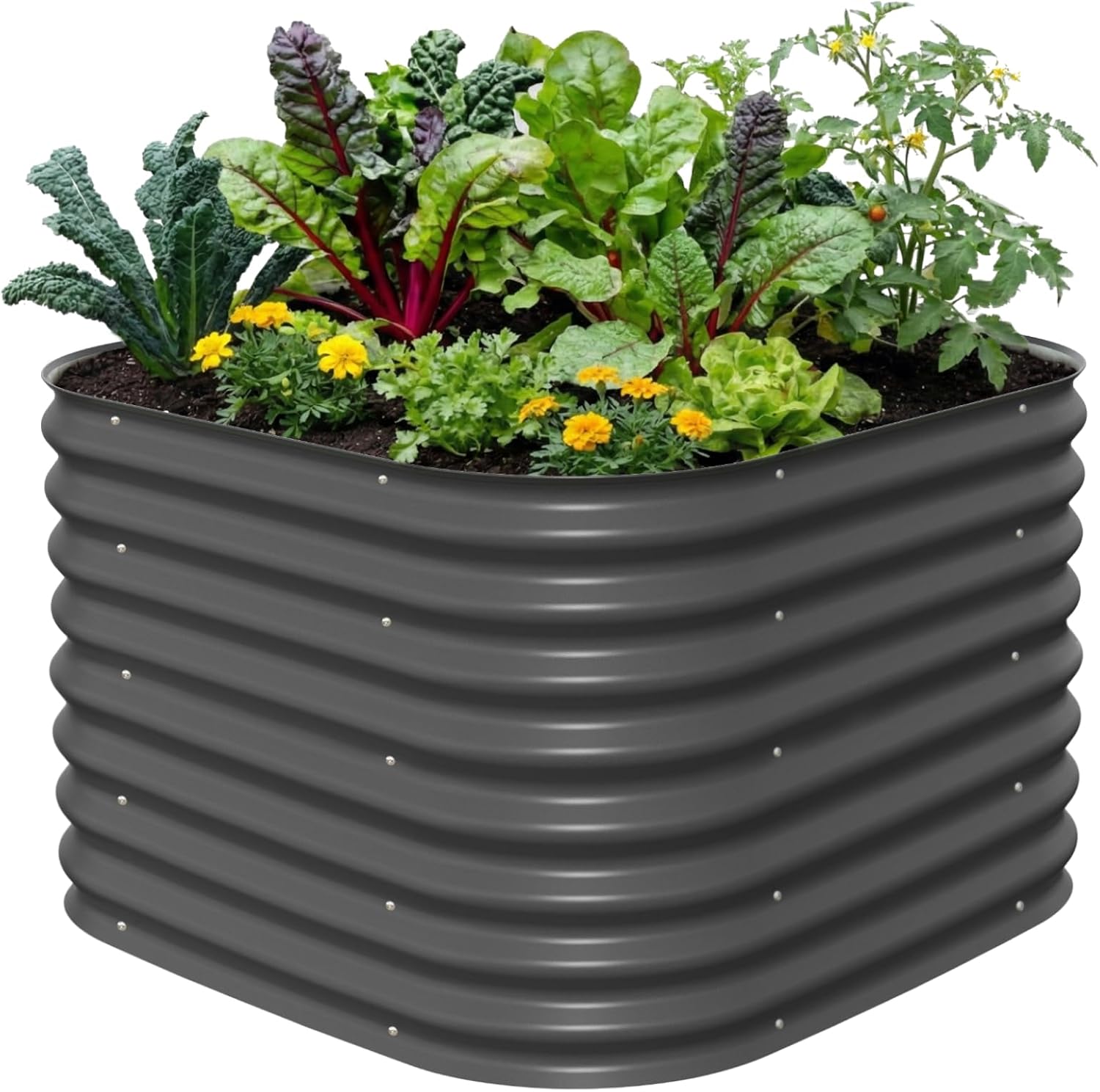 Planter Raised Metal - 26