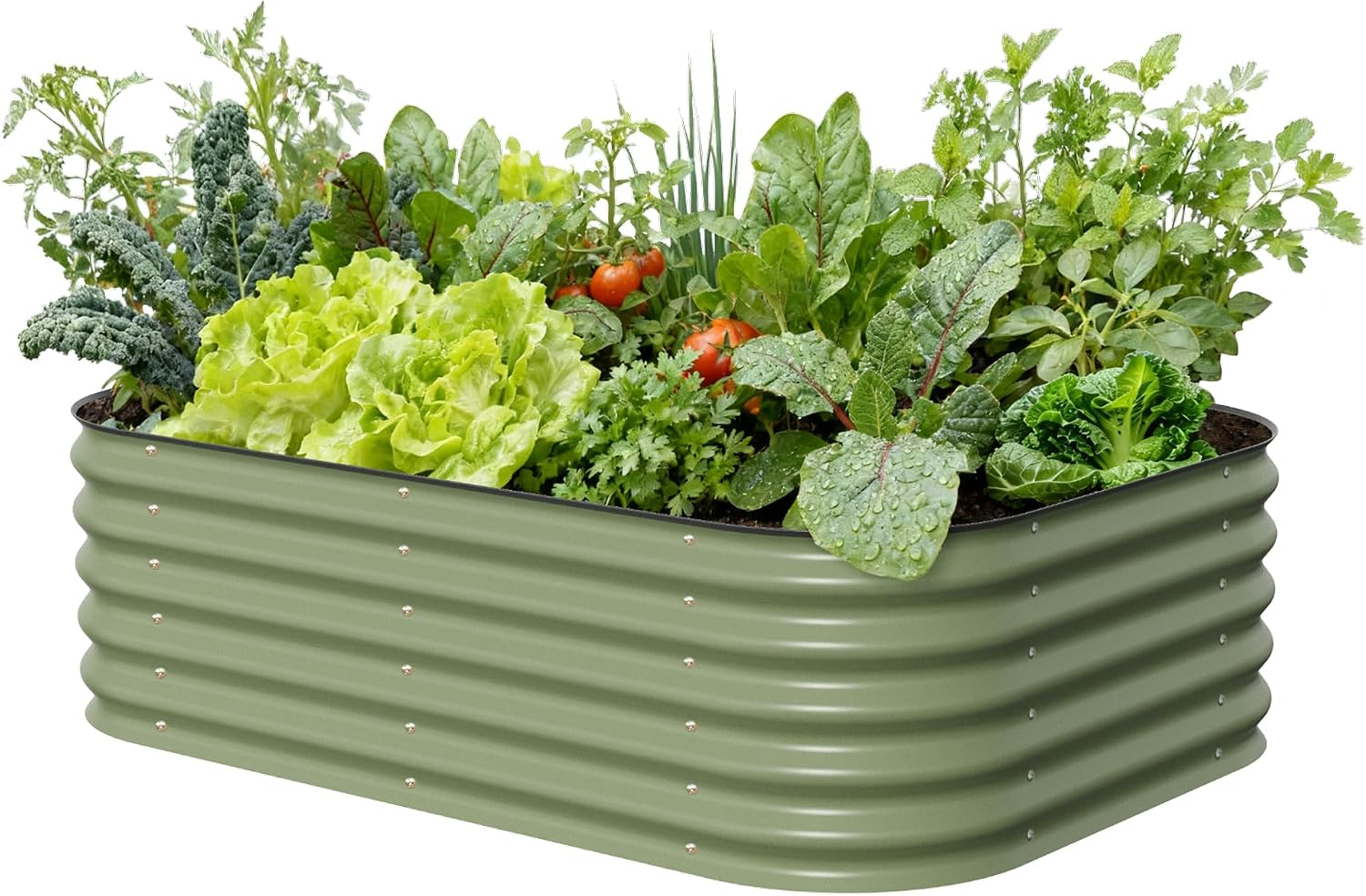 Planter Raised Metal - 17