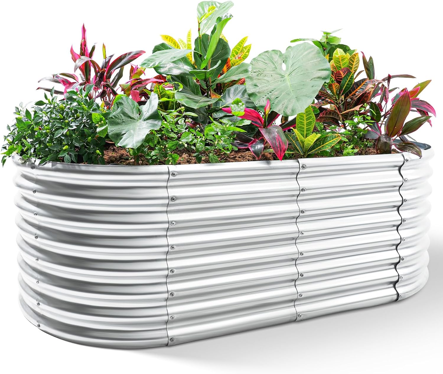 Galvanized Raised Garden Bed,  - đánh giá và giá Planter Raised Metal