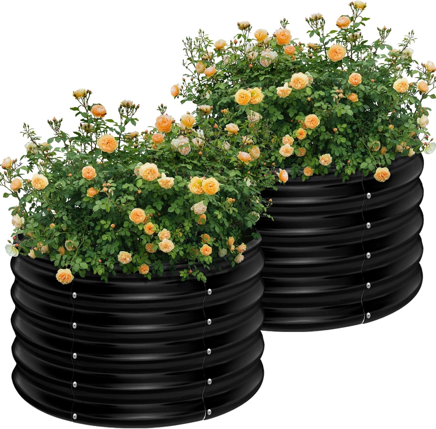 2 Pack 2x2x1.5ft Round Galvani - đánh giá và giá Planter Raised Metal